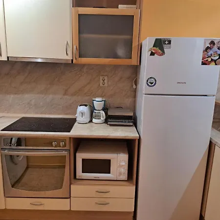 принцес 부르가스